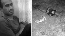 Fatih'te sokak köpeklerinin parçalayarak öldürdüğü adam neler yaşadı? Vahşet hastane raporunda
