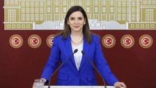 Eski milletvekili Arzu Erdem MHP'den istifa etti