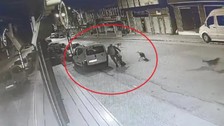 Ordu'da sokak köpekleri yoldan geçen adama saldırdı