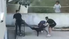 Maltepe'de pitbull dehşeti kamerada