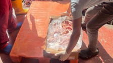 Bu kadarına da pes! Antalya'da 17 ton bozuk tavuk eti ele geçirildi