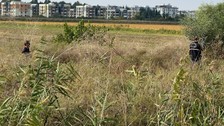 Adana'da sazlıkta parçalanmış ceset bulundu
