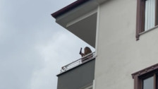 Balkona çıkarak dans eden kadın etrafa ateş etmeye çalıştı