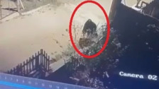 Akşam saatlerinde evleri gözetledi: İlçe ayağa kalktı!
