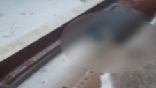 Birlikte yaşadığı kadının evini silahla bastı: 3. kattan atlayan kişi öldü!