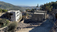 Ünlü sanatçı Suavi'ye Bodrum'da ağaç katliamı cezası
