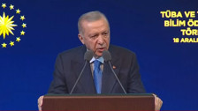 Cumhurbaşkanı Erdoğan: Türkiye, Türkiye'den büyüktür