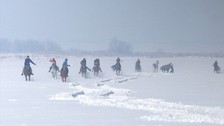 Erzurum'da Eşsiz Bir Gelenek: Mahalli At Yarışı