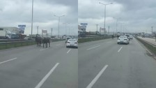 Başıboş atlar ana yolu hipodroma çevirdi