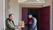 Afyonkarahisar'da Keklik Avına Para Cezası Uygulandı