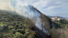 Rize'de anız ateşi ormana sıçradı, yangına itfaiye müdahale etti
