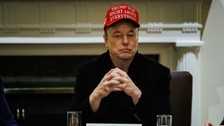 Elon Musk'ın Trump hükümetindeki görevinden ayrılacağı iddia edildi