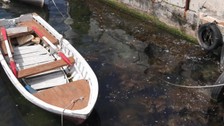 Marmara Denizi alarm veriyor: “Deniz bağırıyor”
