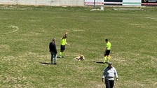 Amatör müsabakada sahaya giren köpeğe kırmızı kart