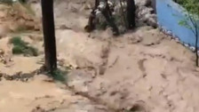 Tokat'ta sağanak sele dönüştü