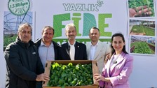 Beykoz Belediyesi’nden çiftçilere 1 milyon 50 bin yazlık fide desteği