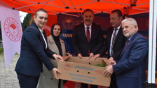 Trabzon'da 260 bin sebze fidesi dağıtıldı