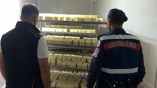 Sakarya’da 1,5 milyonluk sahte kaşar peyniri operasyonu