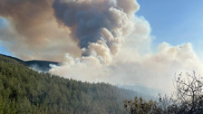 4 şehirde orman yangını