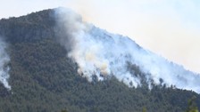 Sakarya'da ormanlık alanda çıkan yangın Bilecik'e ulaştı