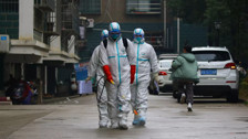 Çin'de 7 binden fazla kişide "chikungunya" virüsü vakası tespit edildi