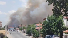 Edirne'de yangın ormana sıçradı, söndürmek için havadan ve karadan gerekli müdahale yapılıyor