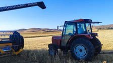 Ağrı'da Çörek Otu Hasadı Başarısıyla Tamamlandı