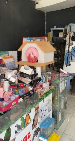 Deprem bölgelerinde yağmalama olayları devam ediyor: Petshop dükkanındaki hayvan yemlerini bile çaldılar - Resim: 15