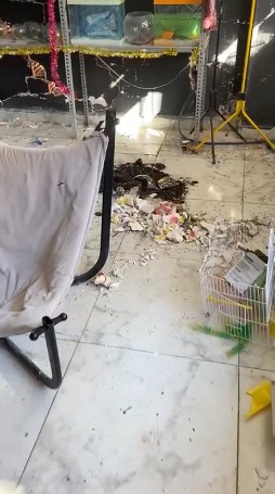 Deprem bölgelerinde yağmalama olayları devam ediyor: Petshop dükkanındaki hayvan yemlerini bile çaldılar - Resim: 2