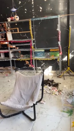 Deprem bölgelerinde yağmalama olayları devam ediyor: Petshop dükkanındaki hayvan yemlerini bile çaldılar - Resim: 4