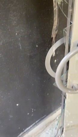 Deprem bölgelerinde yağmalama olayları devam ediyor: Petshop dükkanındaki hayvan yemlerini bile çaldılar - Resim: 11