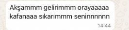 Kıskançlık krizlerine giren Polis, sevgilisine hayatı dar etti: Seni kurşuna dizerim - Resim: 3
