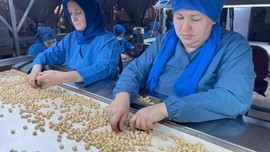 Fındık üreticisine sevindiren haber