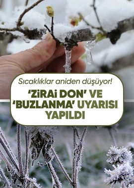 Meteoroloji Genel Müdürlüğü zirai don tehlikesine karşı tedbir alınması gerektiğini duyurdu