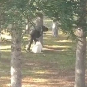 Kayseri Kocasinan'da köpeğe sopalı işkence kamerada - Resim: 4