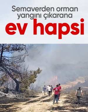 Semaver nedeniyle orman yangınına sebebiyet veren kadına ev hapsi cezası