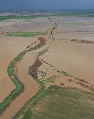 Aydın'da Büyük Menderes Nehri'ndeki taşkın riski nedeniyle 21 ev tedbiren tahliye edildi