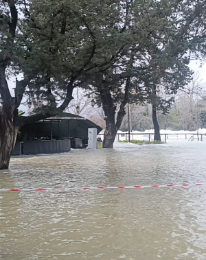 Manavgat Irmağı'nda su debisi yükseldi, işletmeleri su bastı