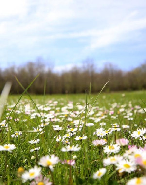 Son cemre toprakla buluştu