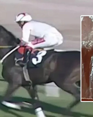 Bakanlıktan skandala 132 bin TL ceza!