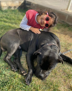 Gaziantep’te 4 yaşındaki Asiye Ateş’e pitbull saldırısı davasında karar