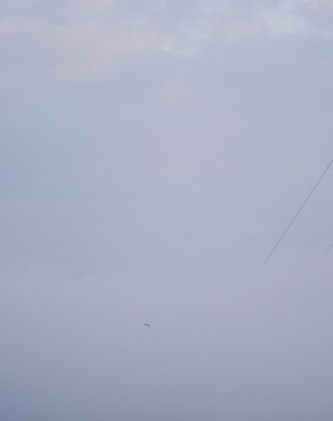 İstanbul'da sis etkili oldu: Gemi trafiği askıya alındı