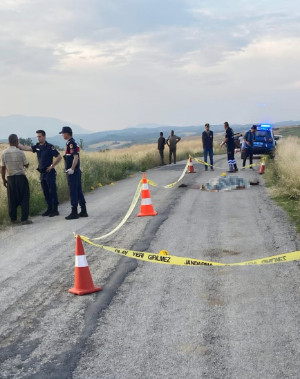 Kız alıp verme husumetinde baba ve oğlu öldürüldü