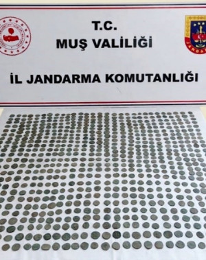 Muş'ta 749 adet tarihi sikke ele geçirildi