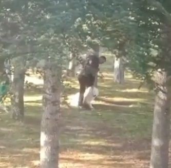 Kayseri Kocasinan'da köpeğe sopalı işkence kamerada - Resim: 3