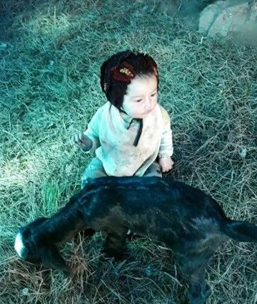 Türkiye günlerce 3 yaşındaki Müslüme Yağal'a ağladı! Davada flaş gelişme: Anne için rapor istendi - Resim: 6