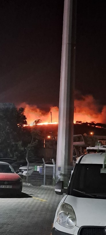 Ayvalık'taki yangın söndürüldü - Resim: 11