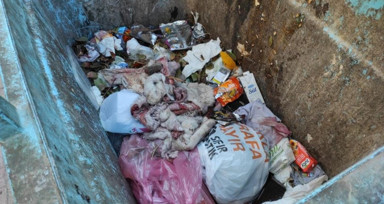 Şanlıurfa'da çöpten eşek ayakları ve derisi çıktı