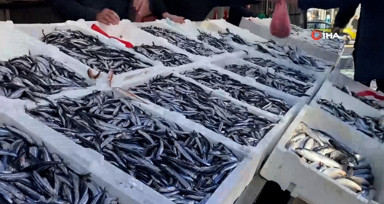 Havalar soğudu, hamsinin fiyatı arttı