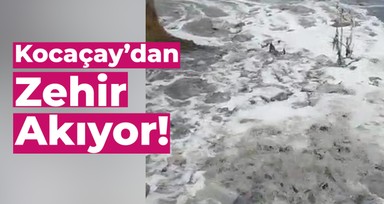 Bolu Gerede'de Kocaçay'dan zehir akıyor! Halk tepkili: Siyasiler sessiz kalıyor